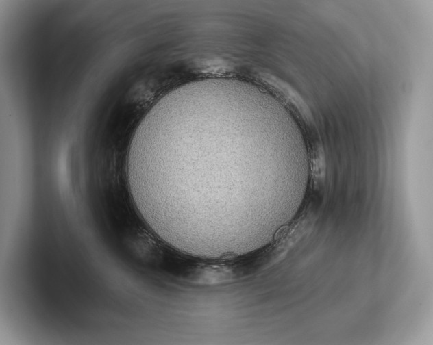 X0000101450572200807211315