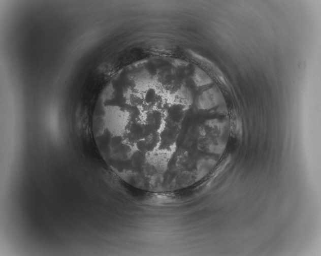 X0000101450573200807211315