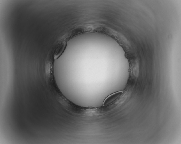 X0000101450574200807211315