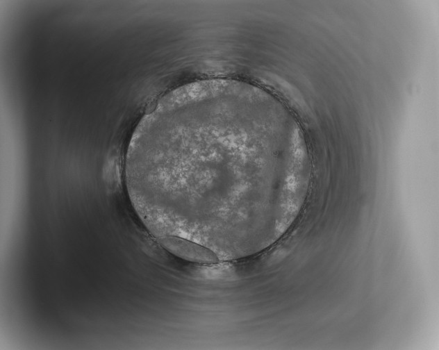 X0000101450576200807211315