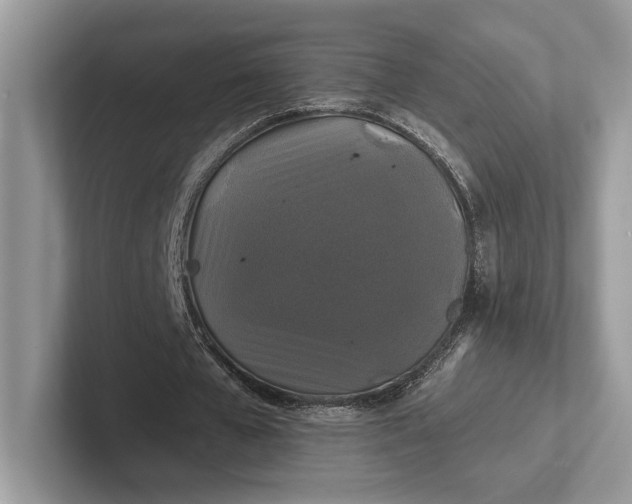 X0000101450577200807211314