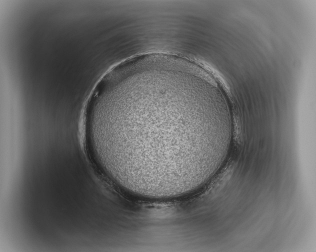 X0000101450580200807211314