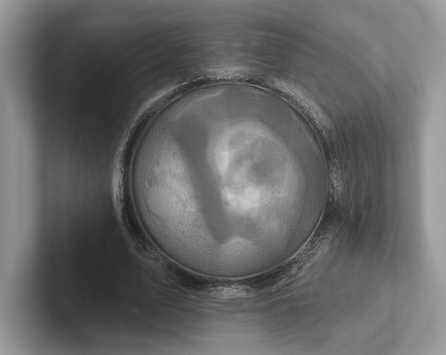 X0000101450583200807211314