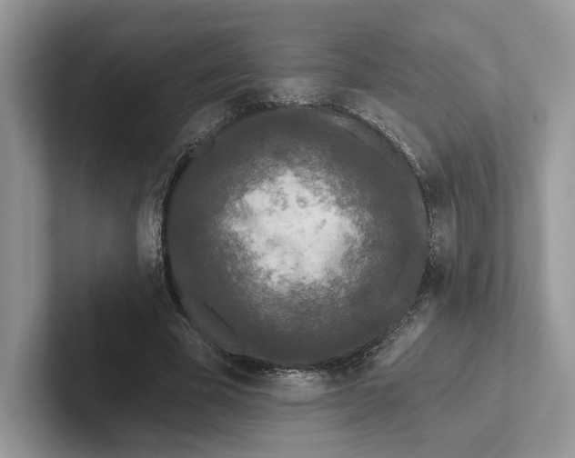 X0000101450585200807211314