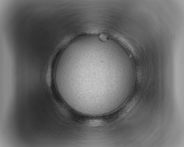 X0000101450586200807211314