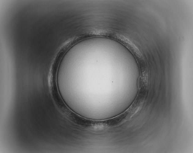 X0000101450587200807211314