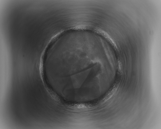 X0000101450588200807211314