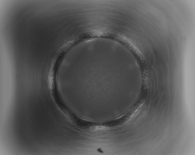 X0000101450590200807211314