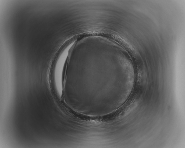 X0000101450592200807211314