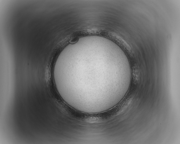 X0000101450593200807211314