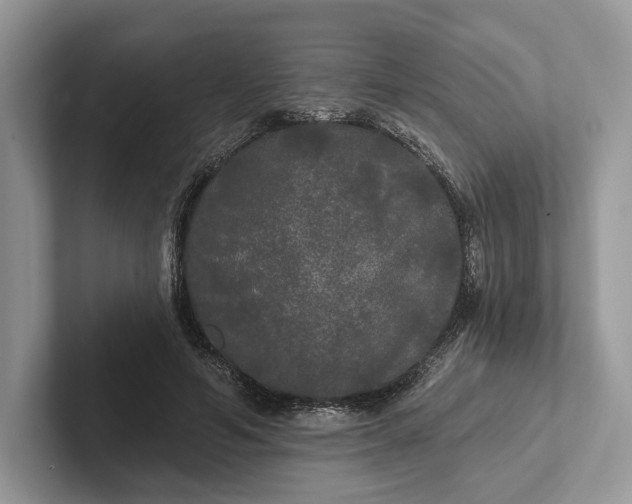 X0000101450594200807211314