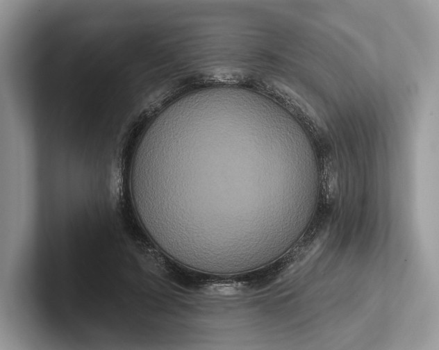 X0000101450595200807211314