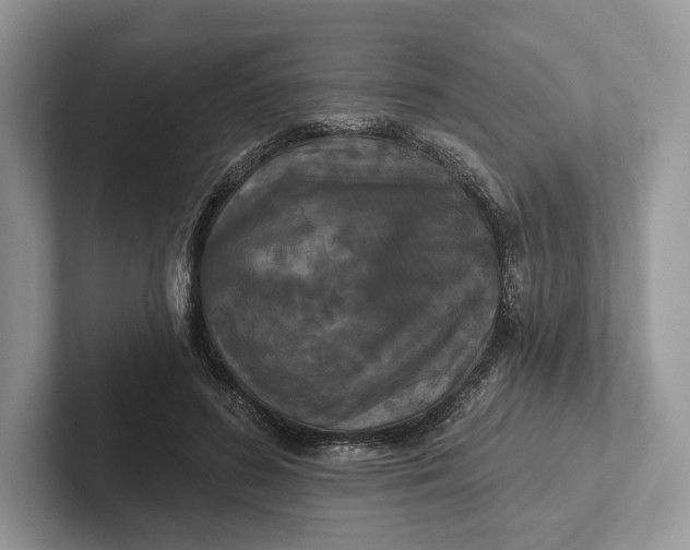 X0000101450596200807211314