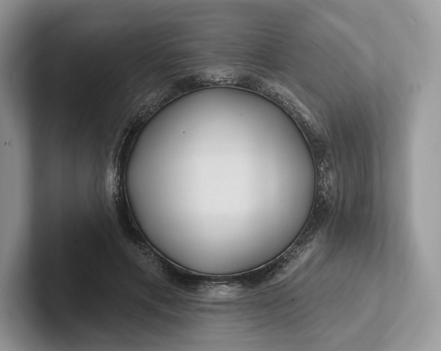 X0000101450597200807211314