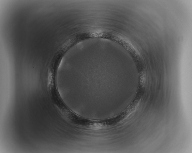 X0000101450598200807211314