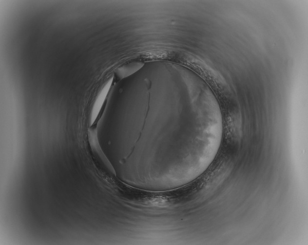 X0000101450600200807211314