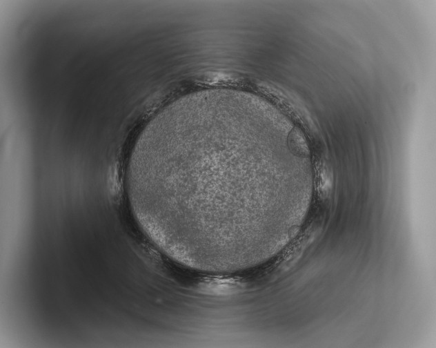 X0000101450607200807211314