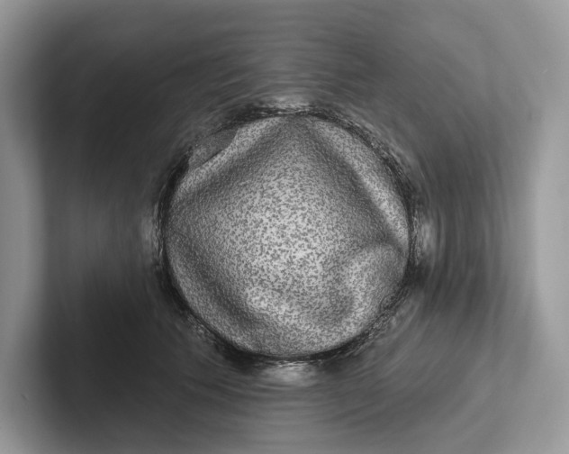 X0000101450609200807211314