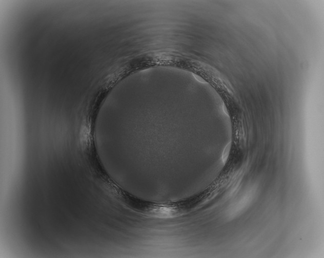 X0000101450610200807211314