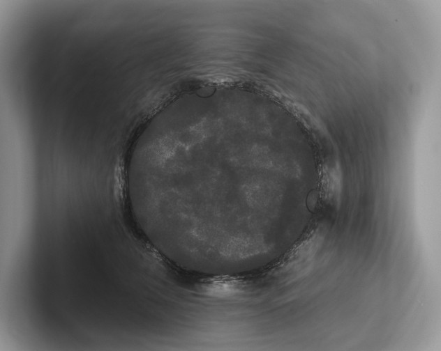 X0000101450612200807211314