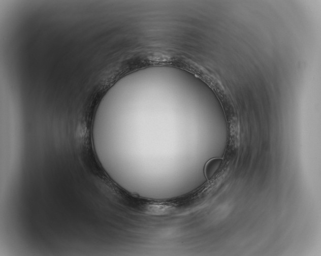 X0000101450614200807211314