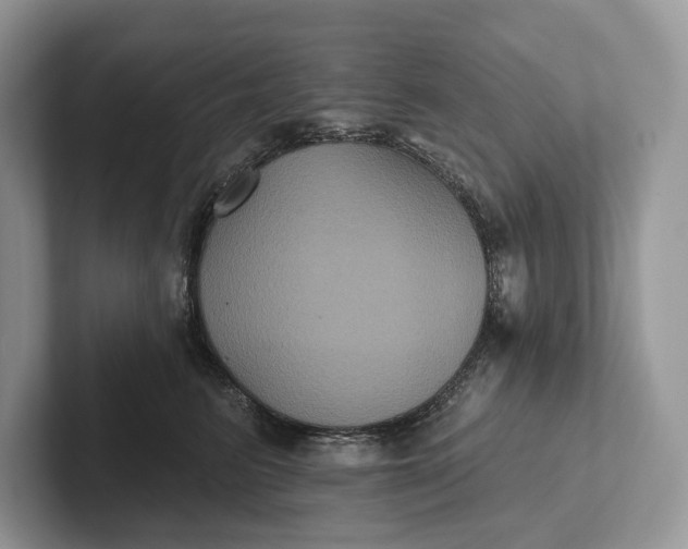 X0000101450615200807211314