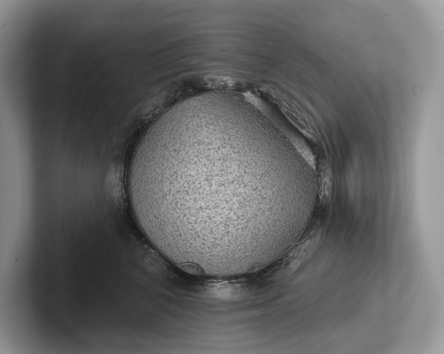 X0000101450616200807211314