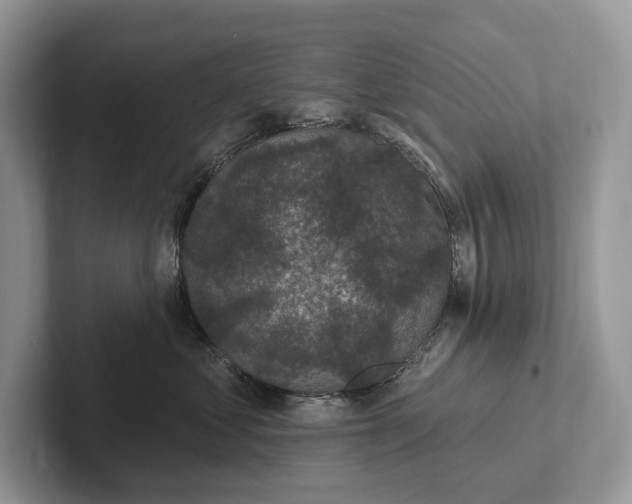 X0000101450621200807211314