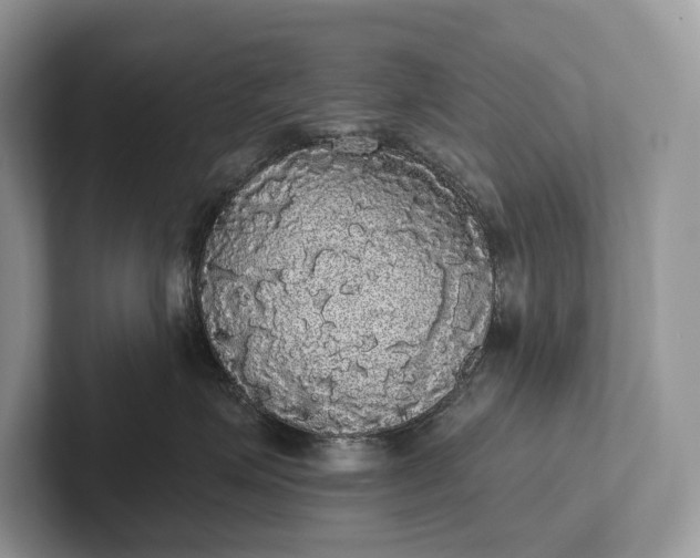 X0000101450623200807211314