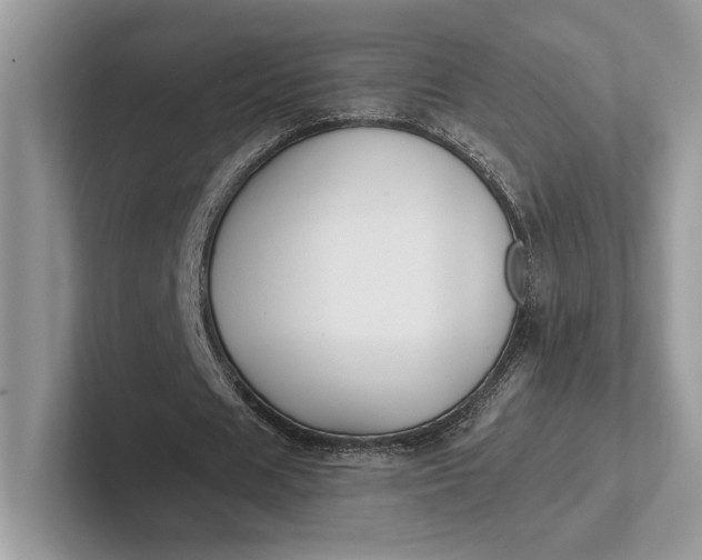 X0000101450625200807211313