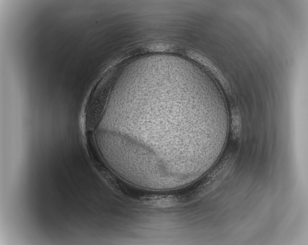 X0000101450626200807211313