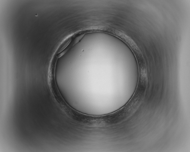 X0000101450628200807211313