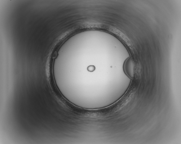 X0000101450629200807211313