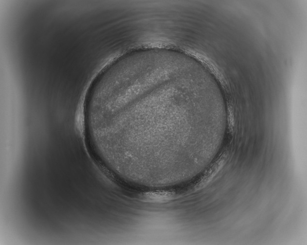 X0000101450630200807211313