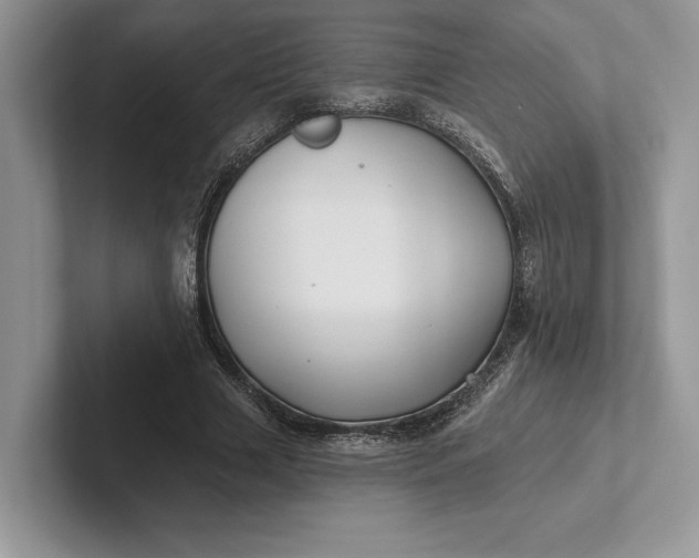 X0000101450633200807211313