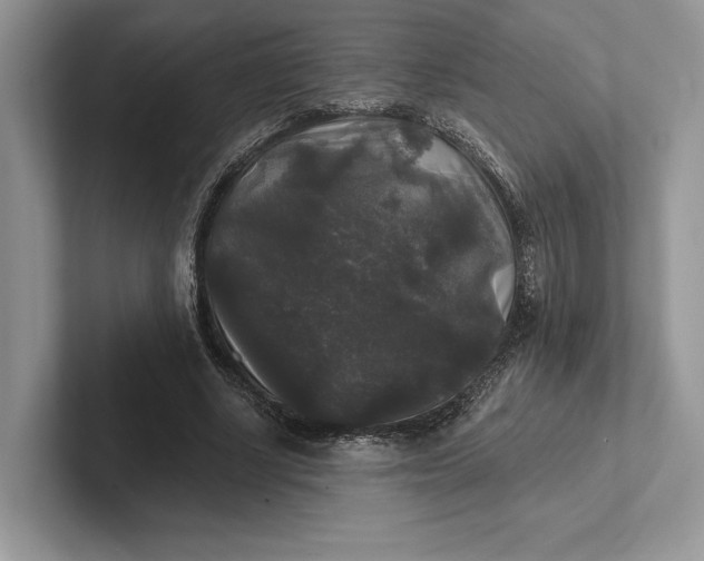 X0000101450634200807211313