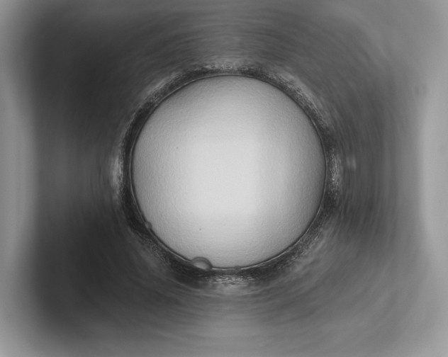 X0000101450636200807211313