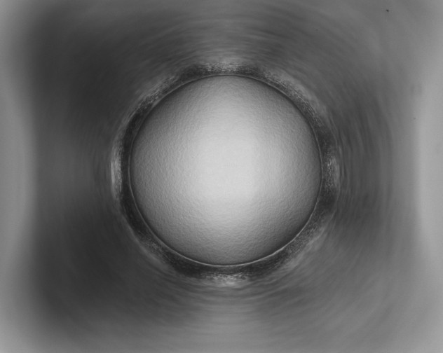 X0000101450638200807211313