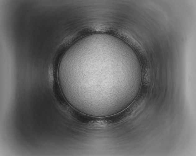 X0000101450639200807211313