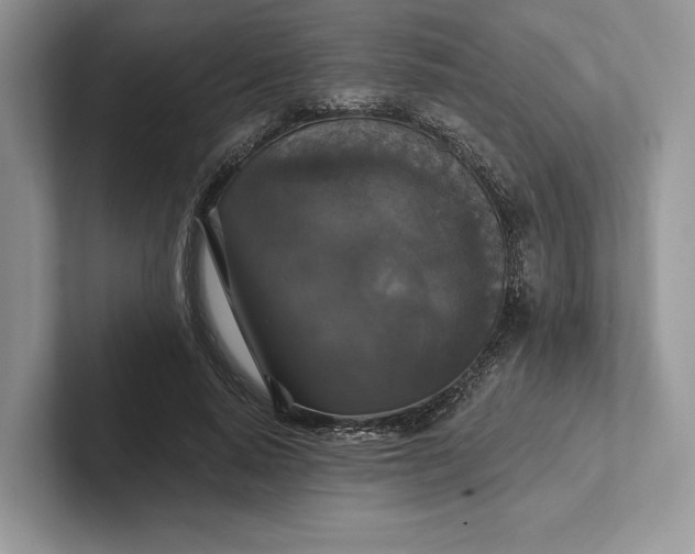 X0000101450640200807211313