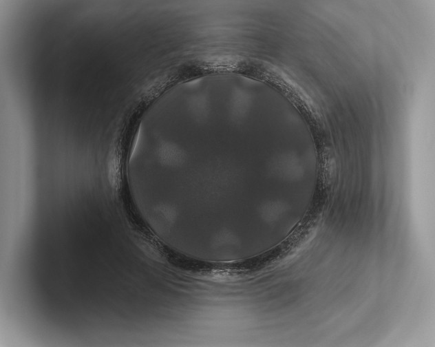 X0000101450641200807211313