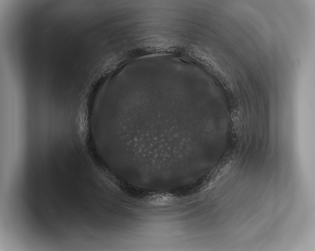 X0000101450642200807211313