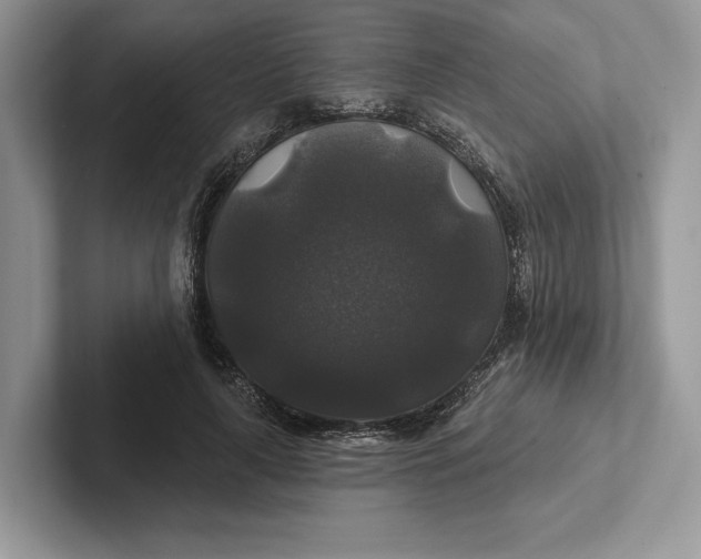 X0000101450643200807211313