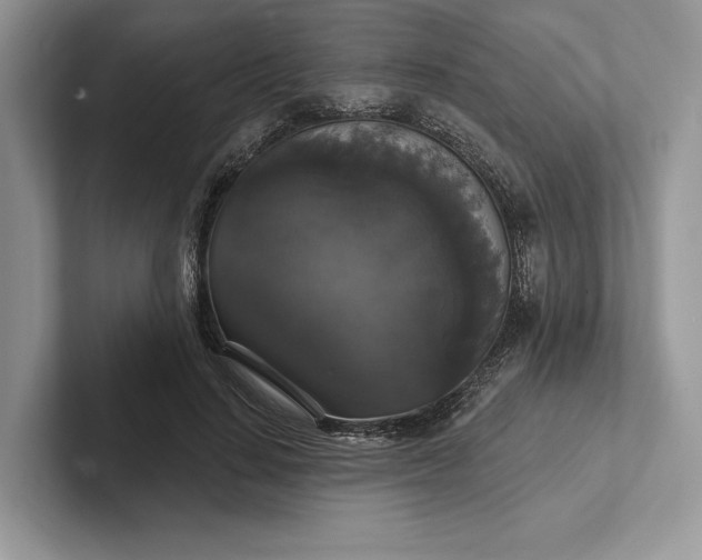 X0000101450644200807211313