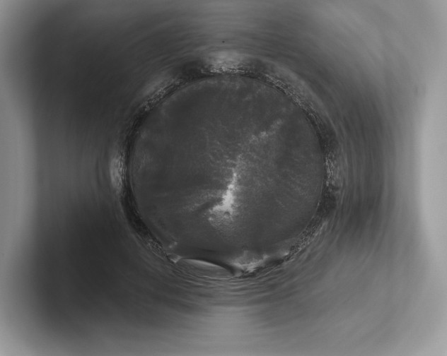 X0000101450648200807211313