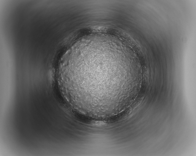 X0000101450649200807211313