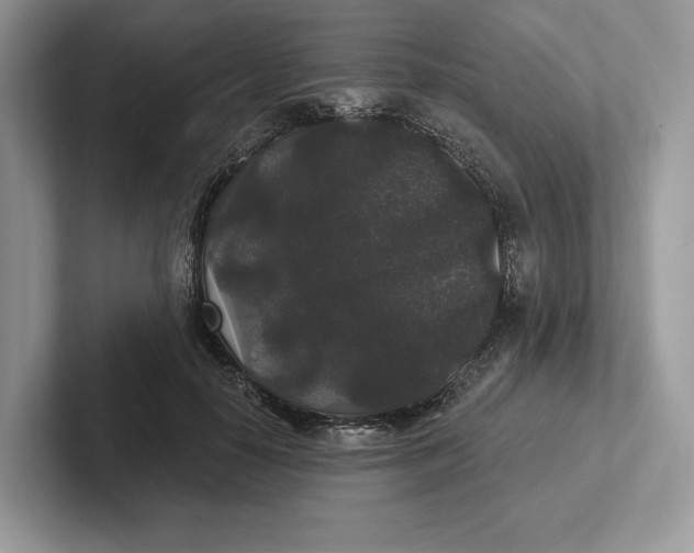 X0000101450650200807211313