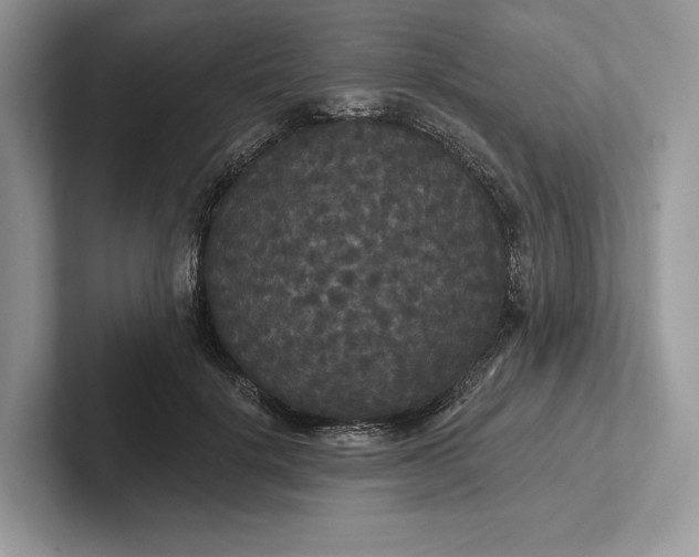 X0000101450652200807211314