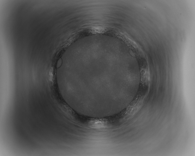 X0000101450655200807211314