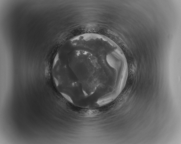 X0000101450663200807211314